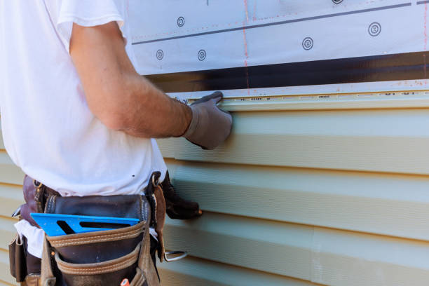 Affordable Vinyl Siding solutions in Louisville, IL